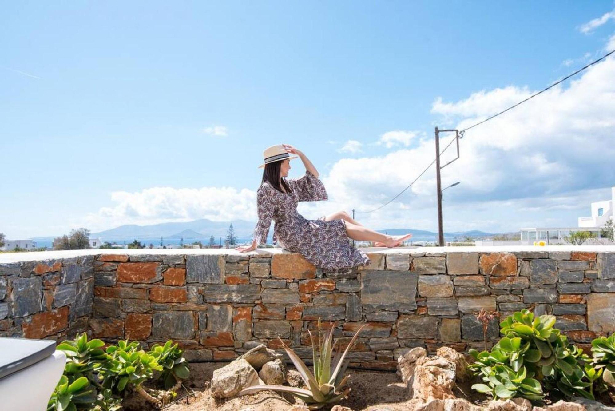Naxos Agia Anna Sunset View Olive House Διαμέρισμα Εξωτερικό φωτογραφία
