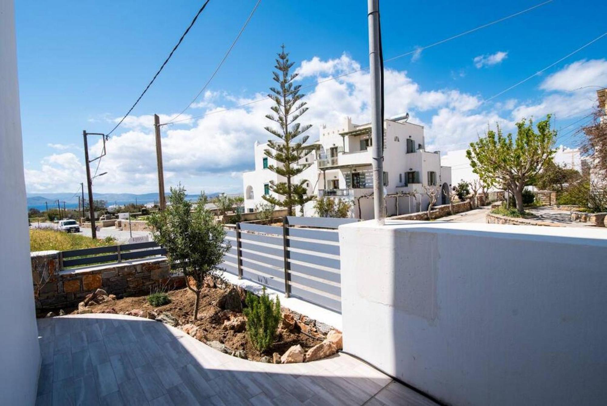 Naxos Agia Anna Sunset View Olive House Διαμέρισμα Εξωτερικό φωτογραφία