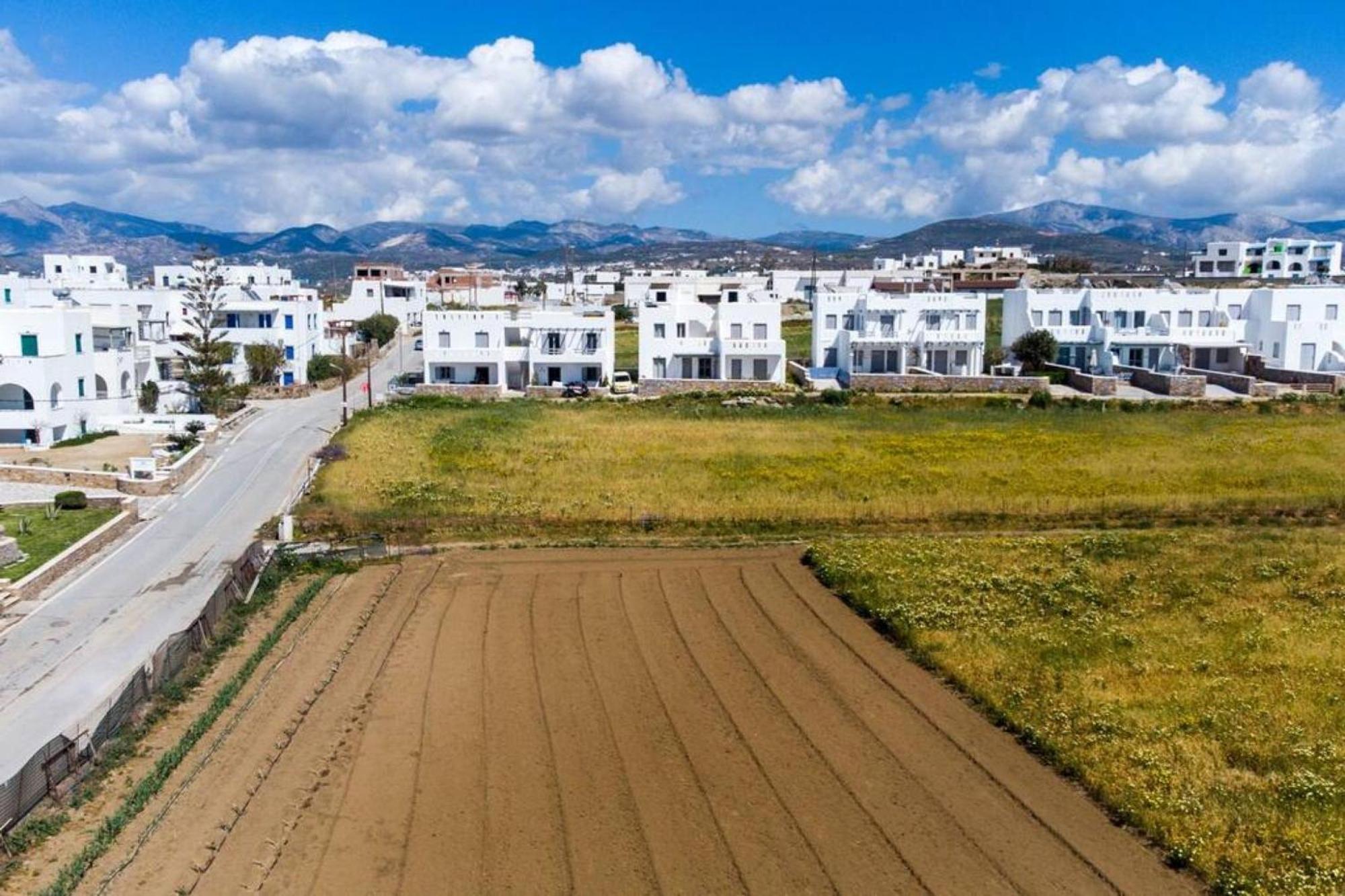 Naxos Agia Anna Sunset View Olive House Διαμέρισμα Εξωτερικό φωτογραφία