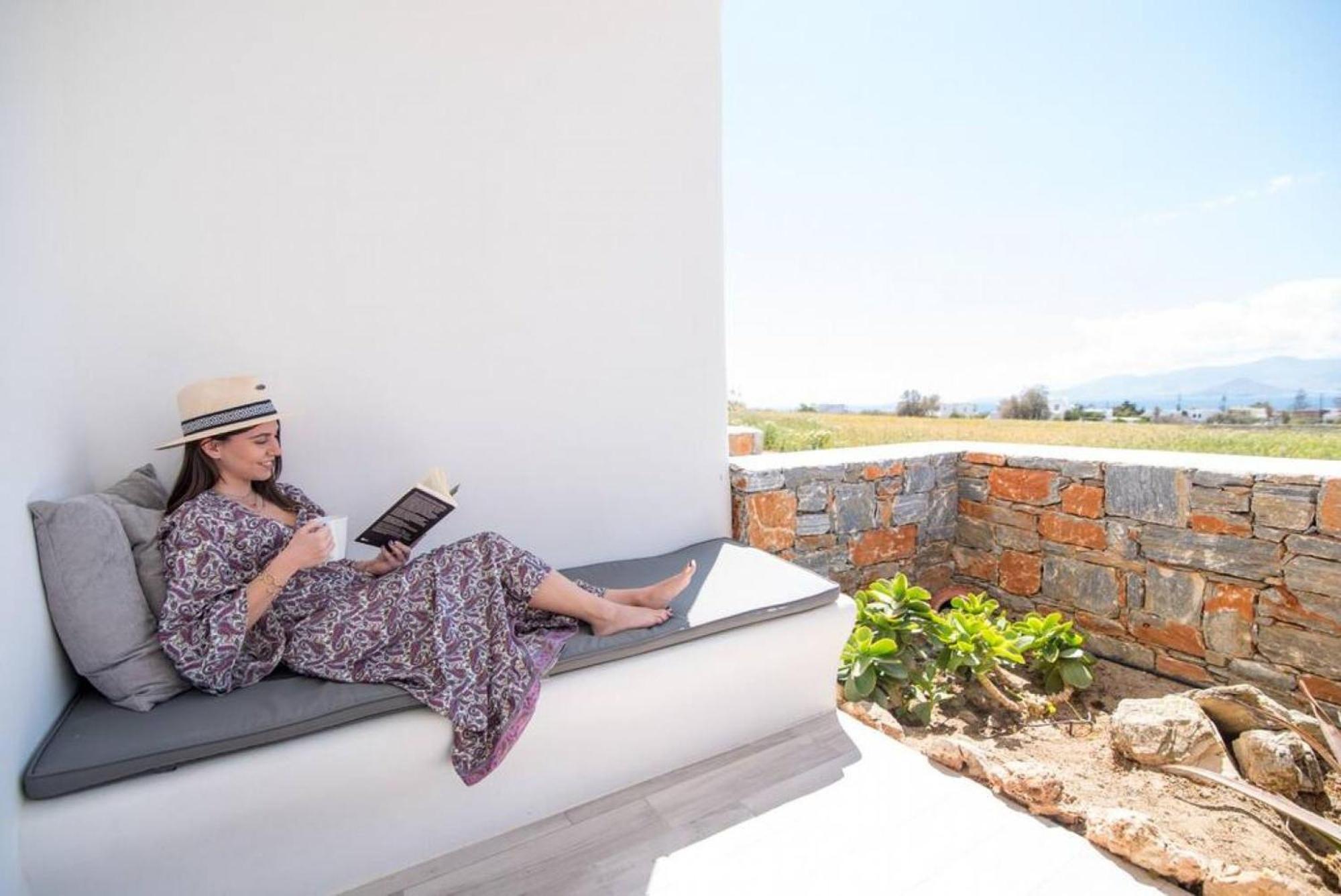 Naxos Agia Anna Sunset View Olive House Διαμέρισμα Εξωτερικό φωτογραφία